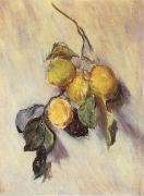 Claude Monet Branch from a Lemon Tree Germany oil painting reproduction
